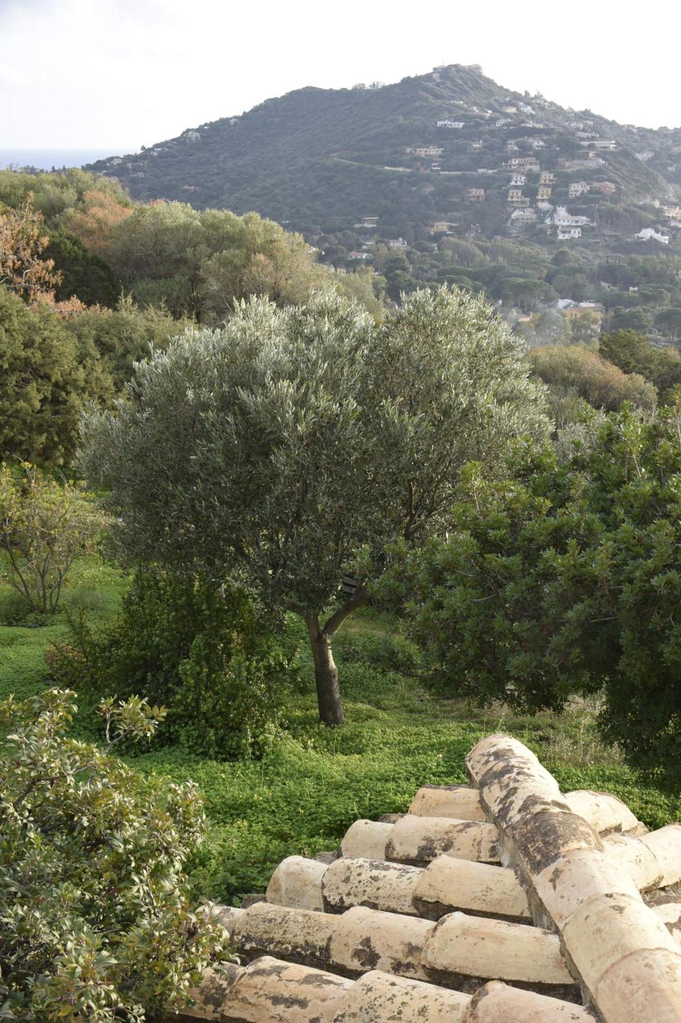 Holiday Home Riccio Di Mare Sardinia Marongiu Exterior photo